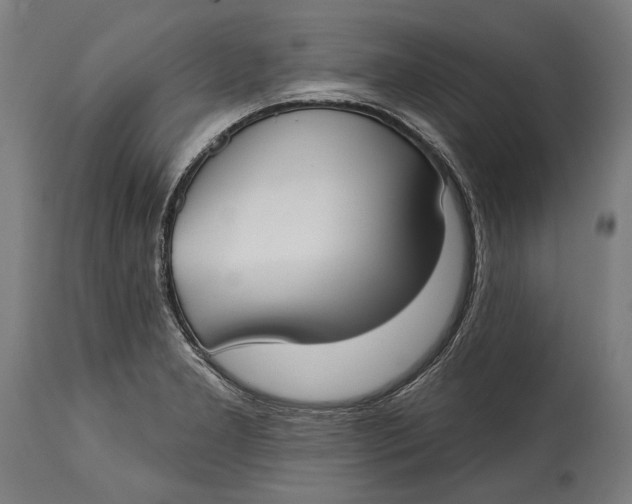 X0000114611277200911101143