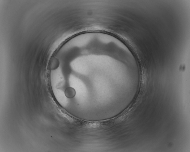 X0000114611278200911101143