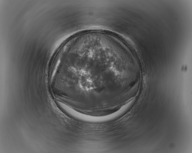 X0000114611279200911101143