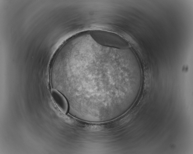 X0000114611280200911101143