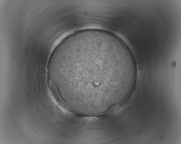 X0000114611282200911101143