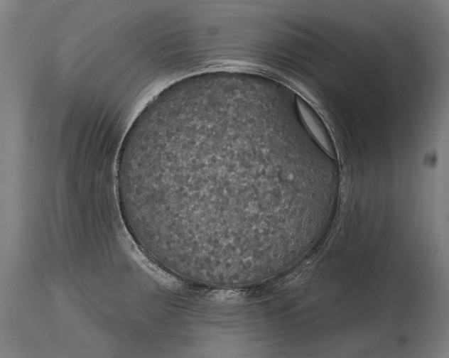 X0000114611283200911101143