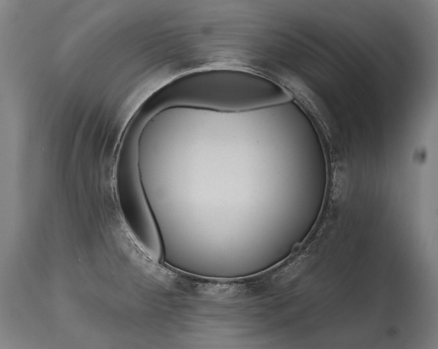 X0000114611284200911101143