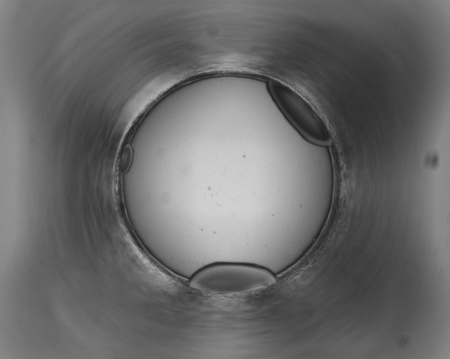 X0000114611285200911101143