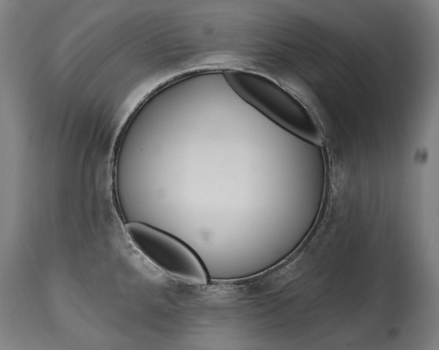 X0000114611288200911101143