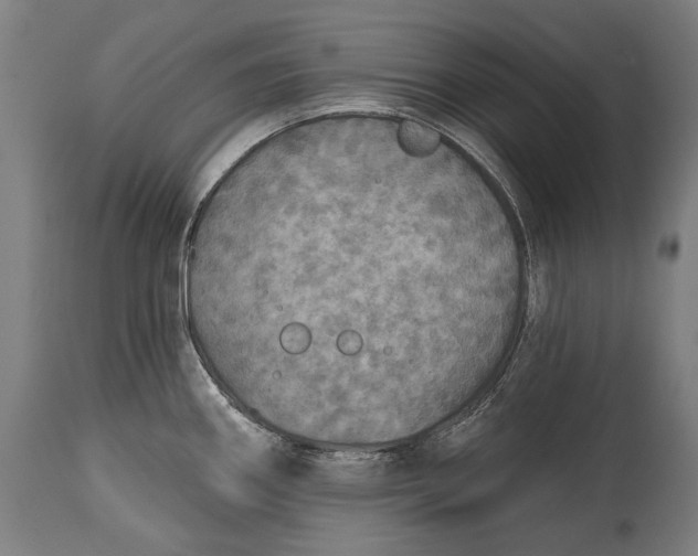 X0000114611290200911101143