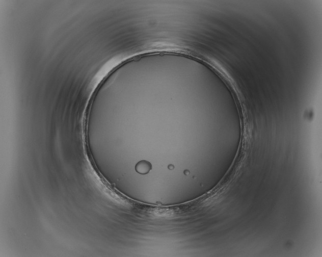 X0000114611291200911101143