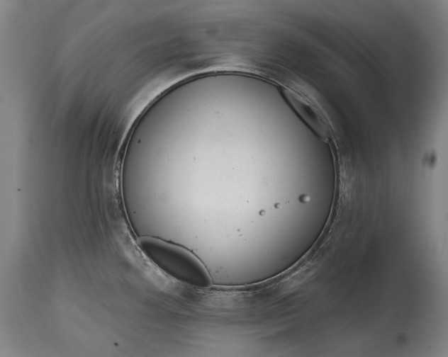 X0000114611292200911101143