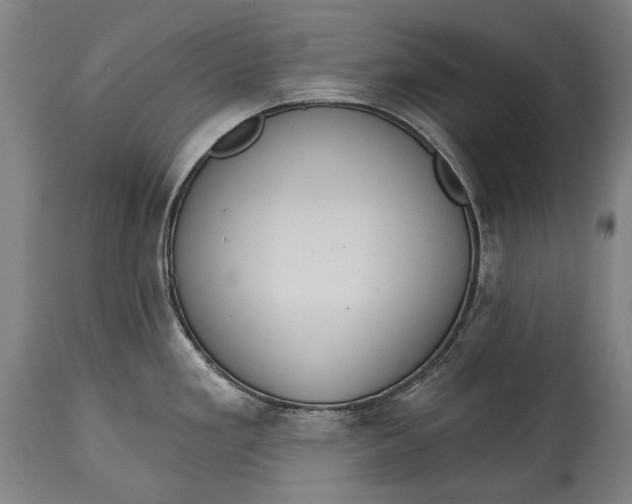 X0000114611293200911101143