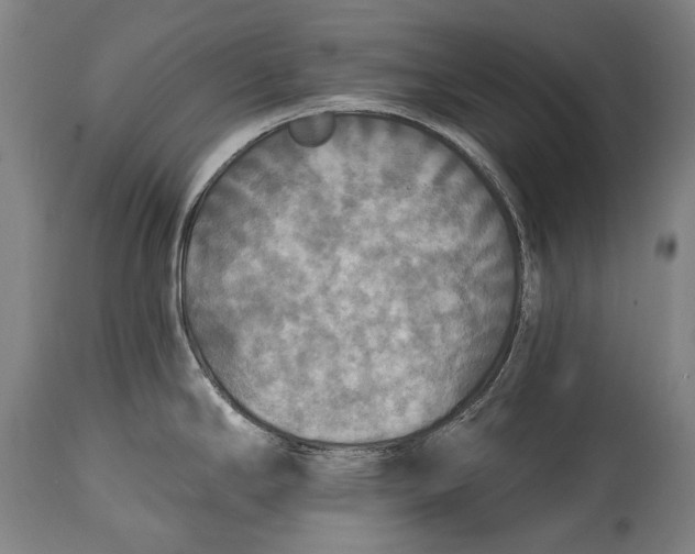 X0000114611294200911101143