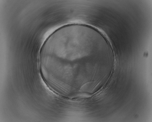 X0000114611295200911101143