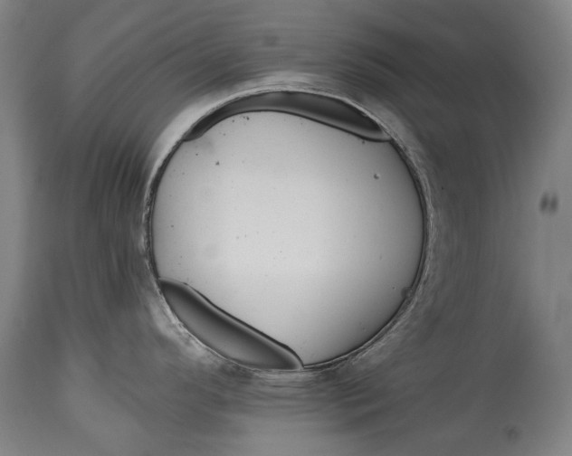 X0000114611296200911101143