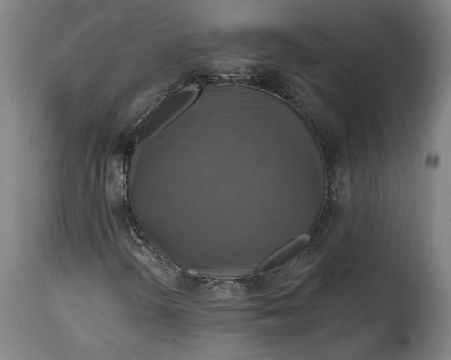 X0000114611298200911101143