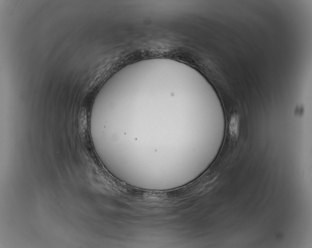 X0000114611299200911101143