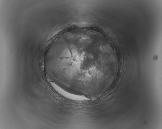 X0000114611301200911101143