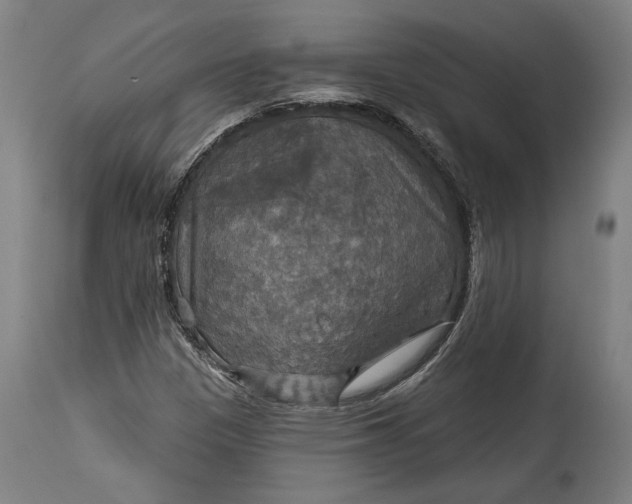 X0000114611305200911101143