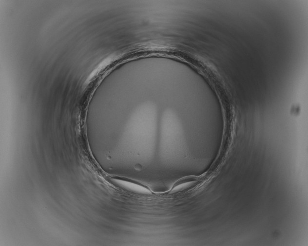 X0000114611306200911101143