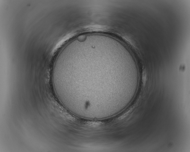 X0000114611309200911101143