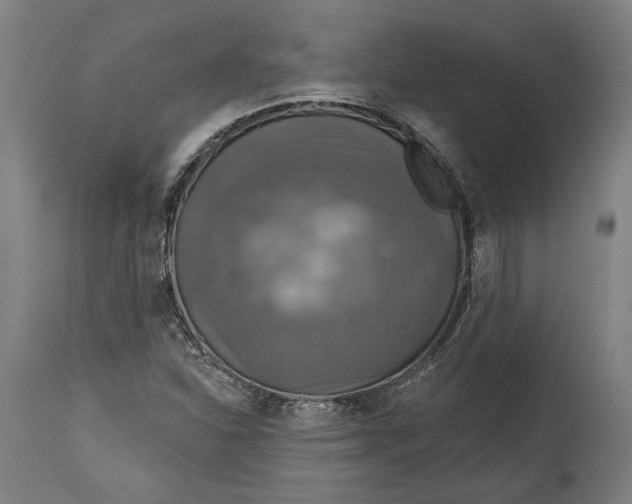 X0000114611310200911101143