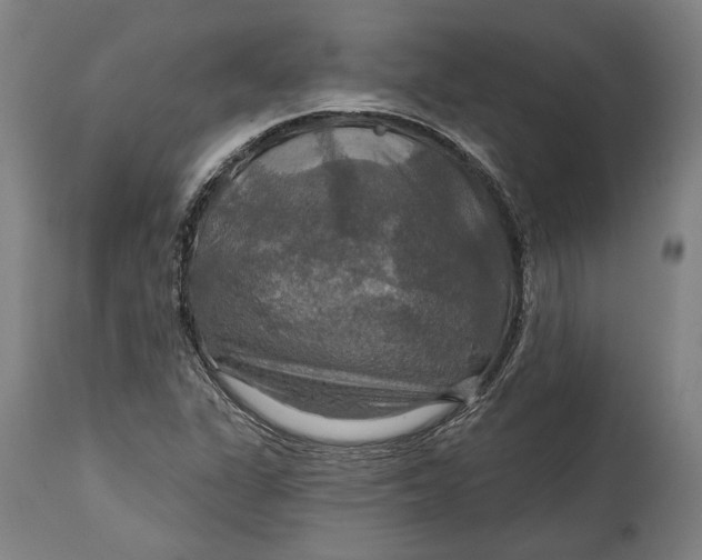 X0000114611311200911101143