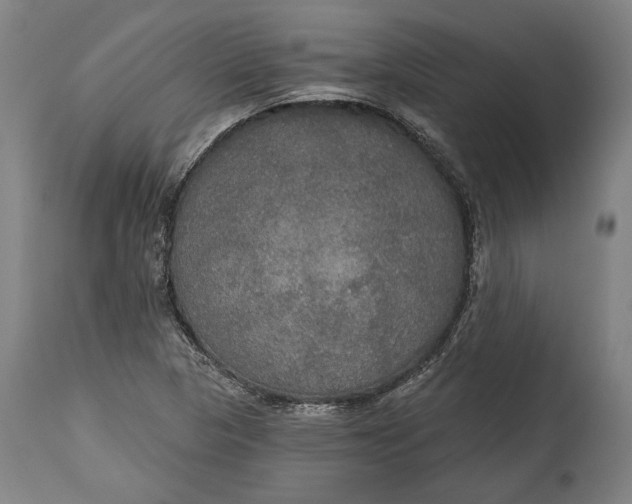 X0000114611313200911101143