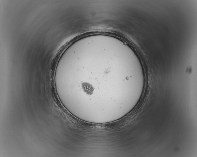 X0000114611315200911101143