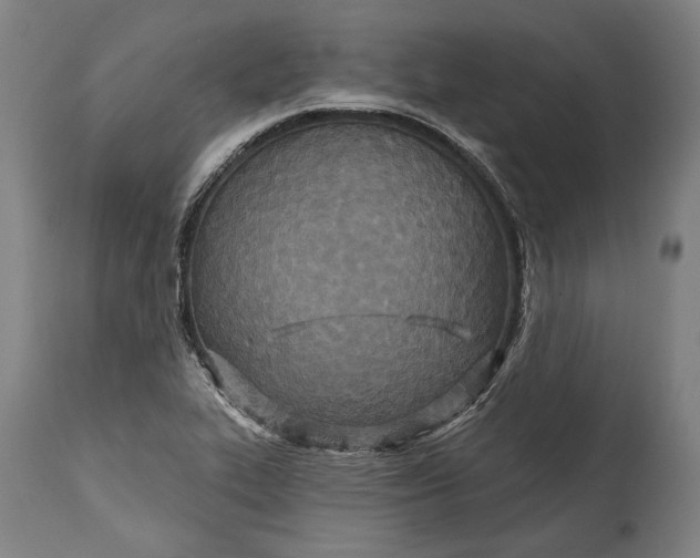 X0000114611319200911101143