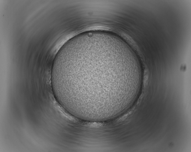 X0000114611321200911101143