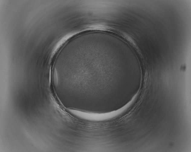 X0000114611323200911101143