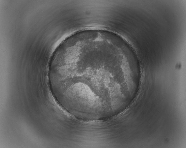 X0000114611325200911101143