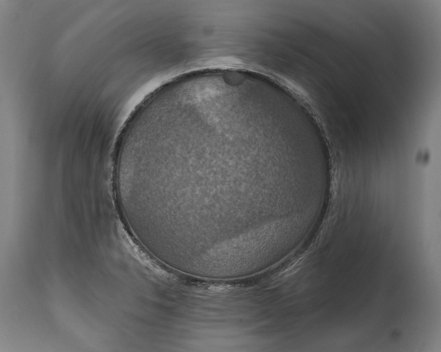 X0000114611326200911101143