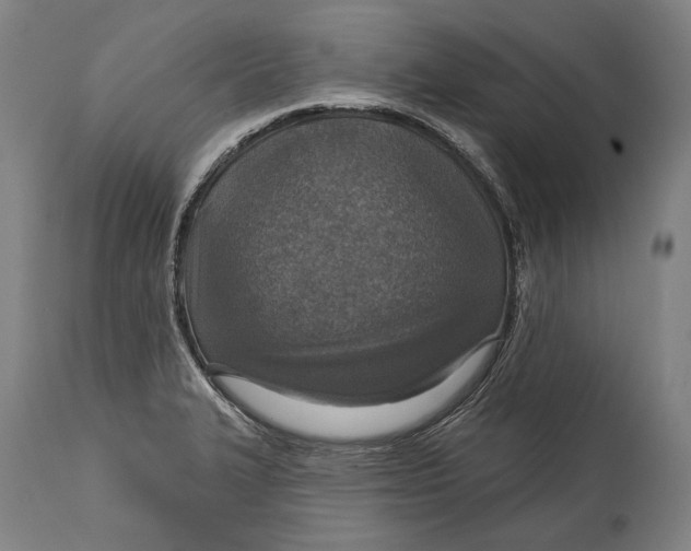 X0000114611327200911101143