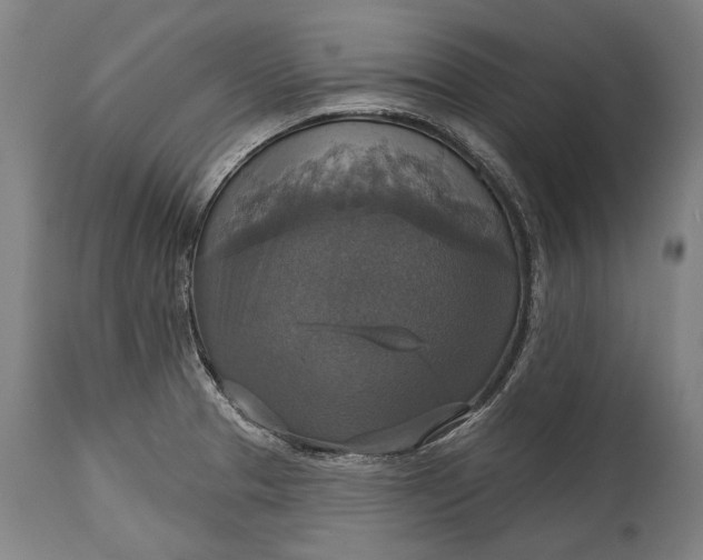 X0000114611329200911101143