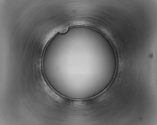 X0000114611330200911101143