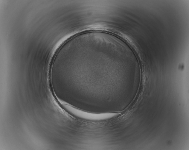 X0000114611331200911101143