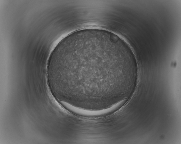 X0000114611333200911101143