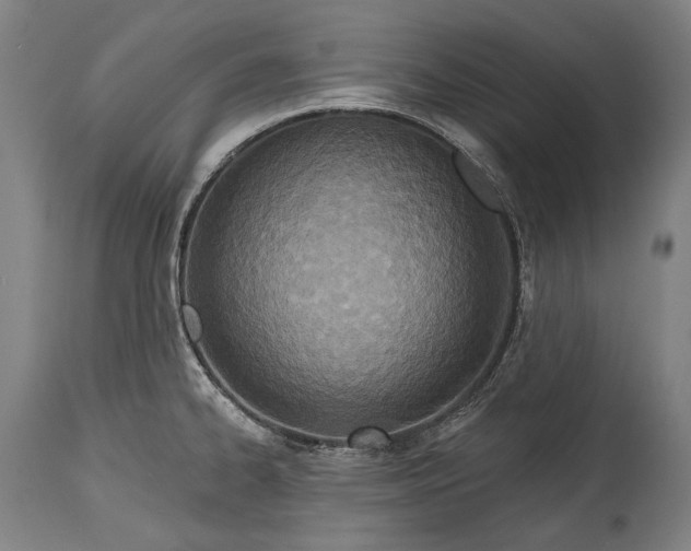 X0000114611334200911101143