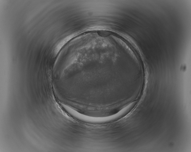 X0000114611337200911101143