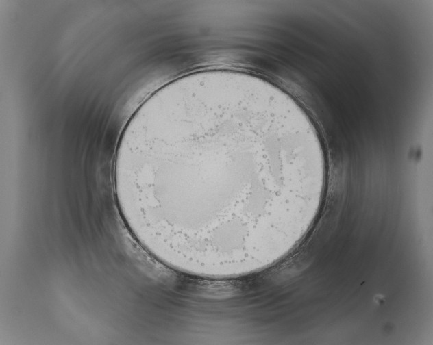 X0000114611338200911101143