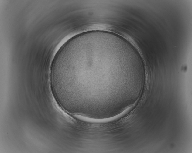 X0000114611339200911101143