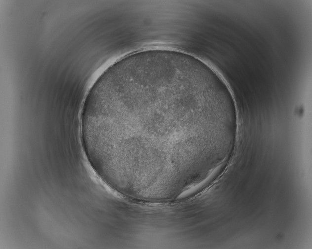 X0000114611341200911101143