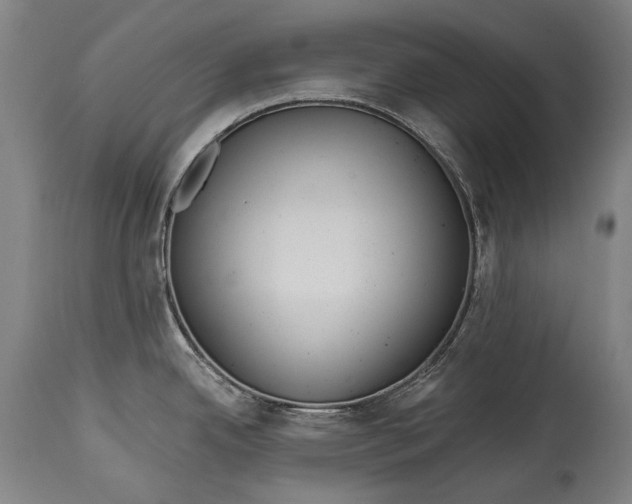 X0000114611342200911101143