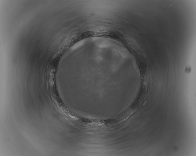 X0000114611346200911101142