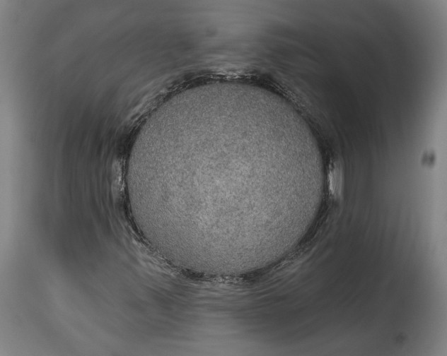 X0000114611347200911101142