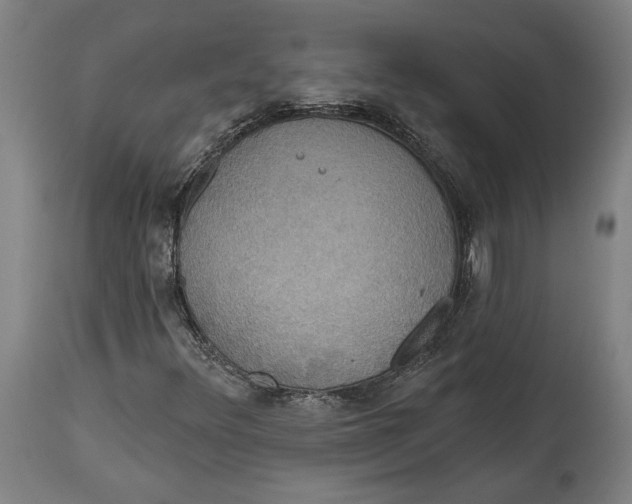 X0000114611348200911101142