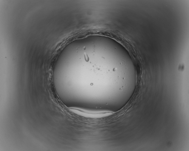 X0000114611349200911101142