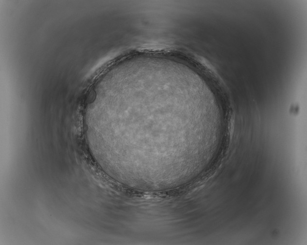 X0000114611350200911101142