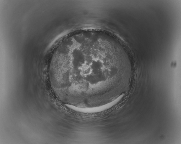 X0000114611351200911101142