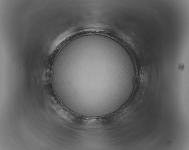 X0000114611352200911101142