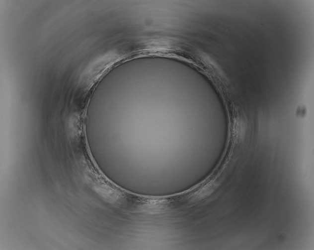 X0000114611353200911101142